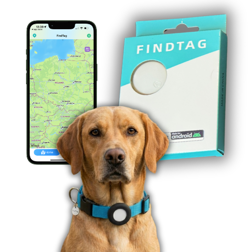 Lokalizator GPS dla Psa Kota Findtag Bluetooth Obroża działa z Android & iOS