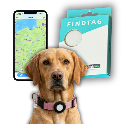Lokalizator GPS dla Psa Kota Findtag Bluetooth Obroża działa z Android & iOS